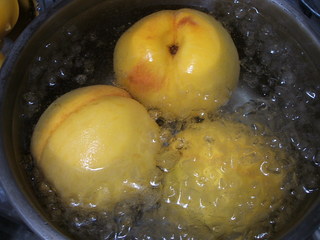 golden peach_4.JPG