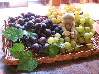 grape_1.JPG