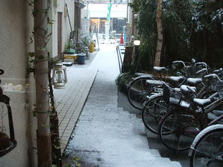 snow_3.JPG